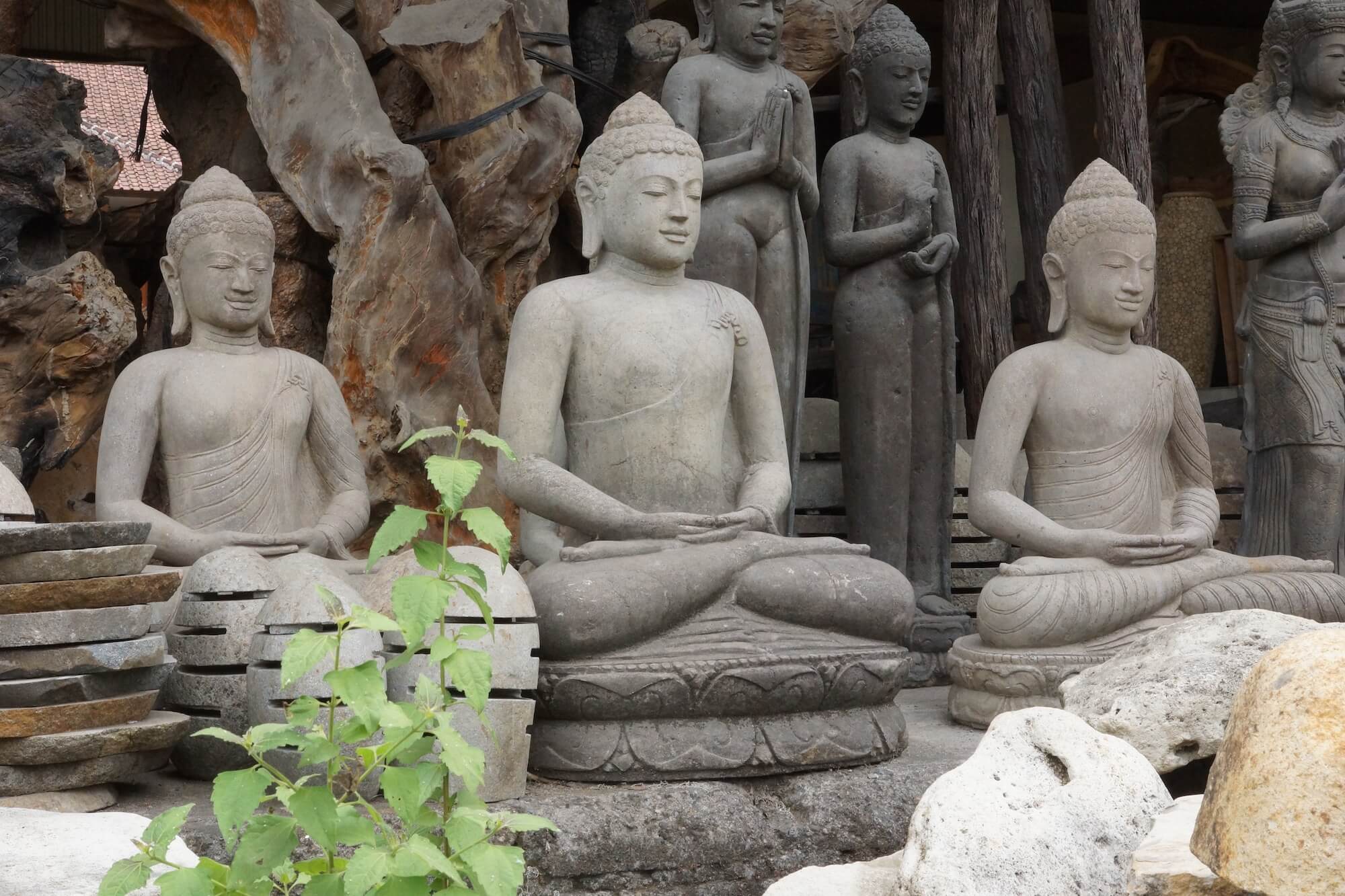 Die besten Tipps zur Wahl der Buddhastatue