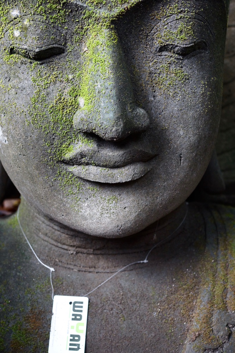 Buddhabüste Stein