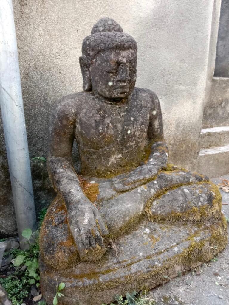 Monsoon Buddha Bali 65 cm