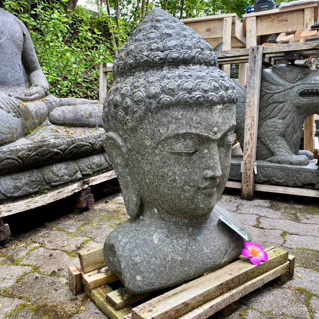 Buddhabüste als Geschenkidee 67 cm